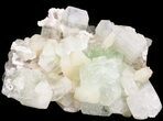 Zoned Apophyllite Crystals with Fibrous Stilbite Bowties - India #44408-1